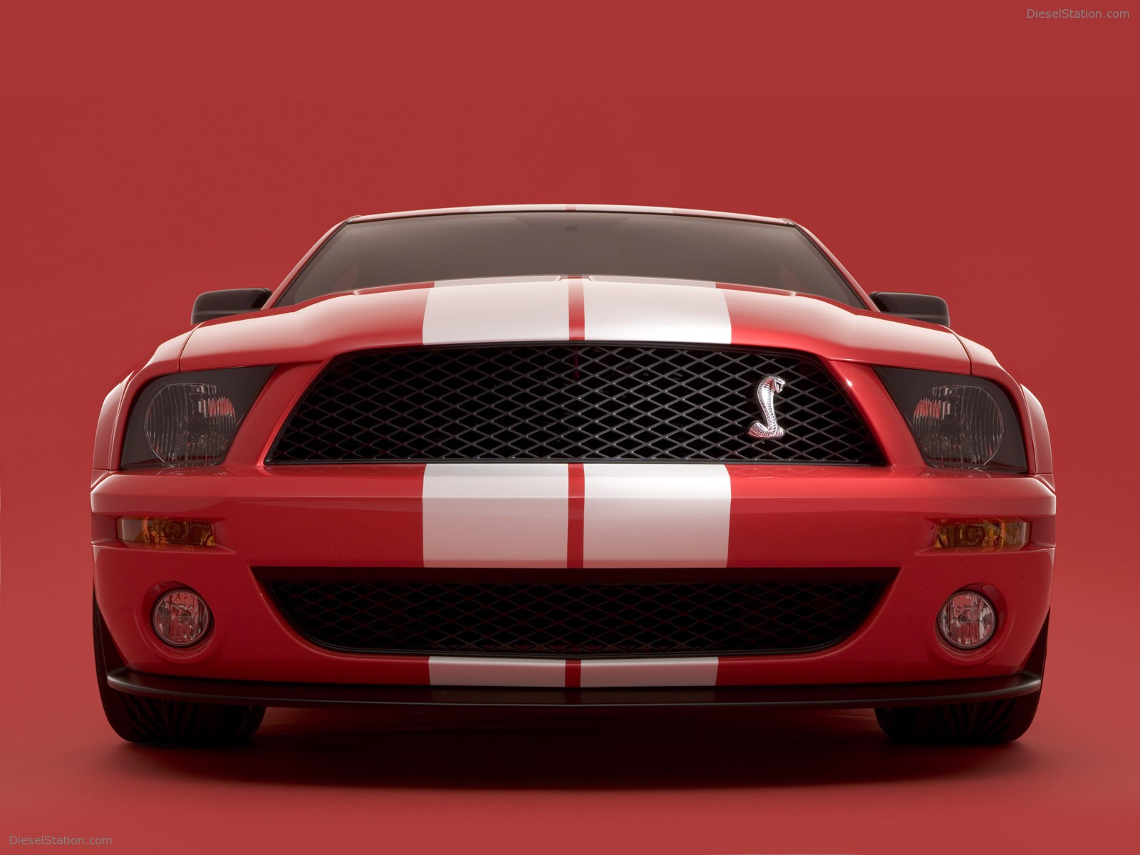 Ford Shelby Cobra GT500